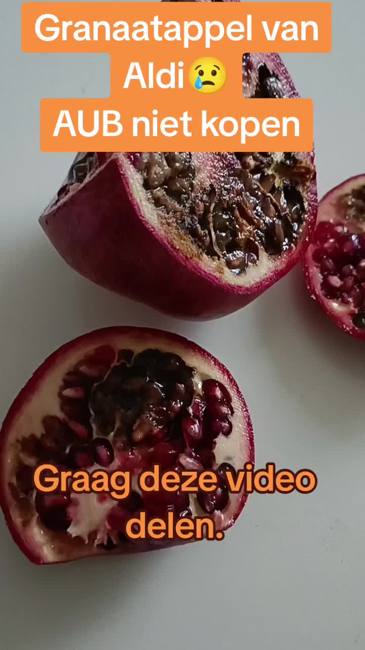 @King Shah🇦🇫🇾🇪 مجردانو مشر