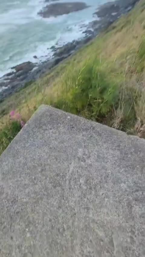 @neverflimsy