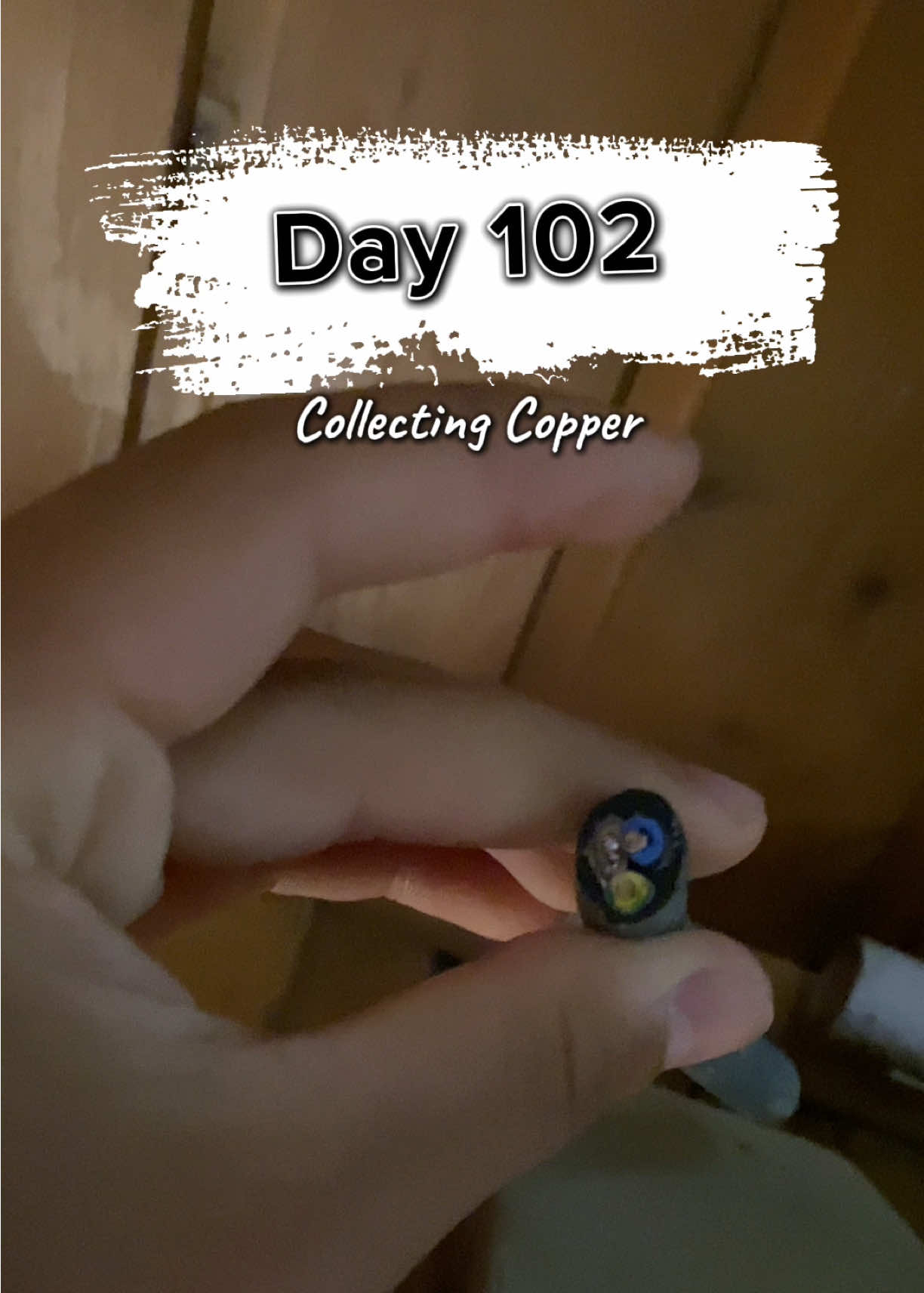 @RealCopper