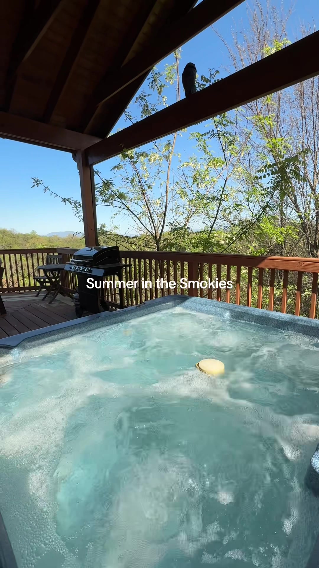 @SmokyMountainDreamVacation.com