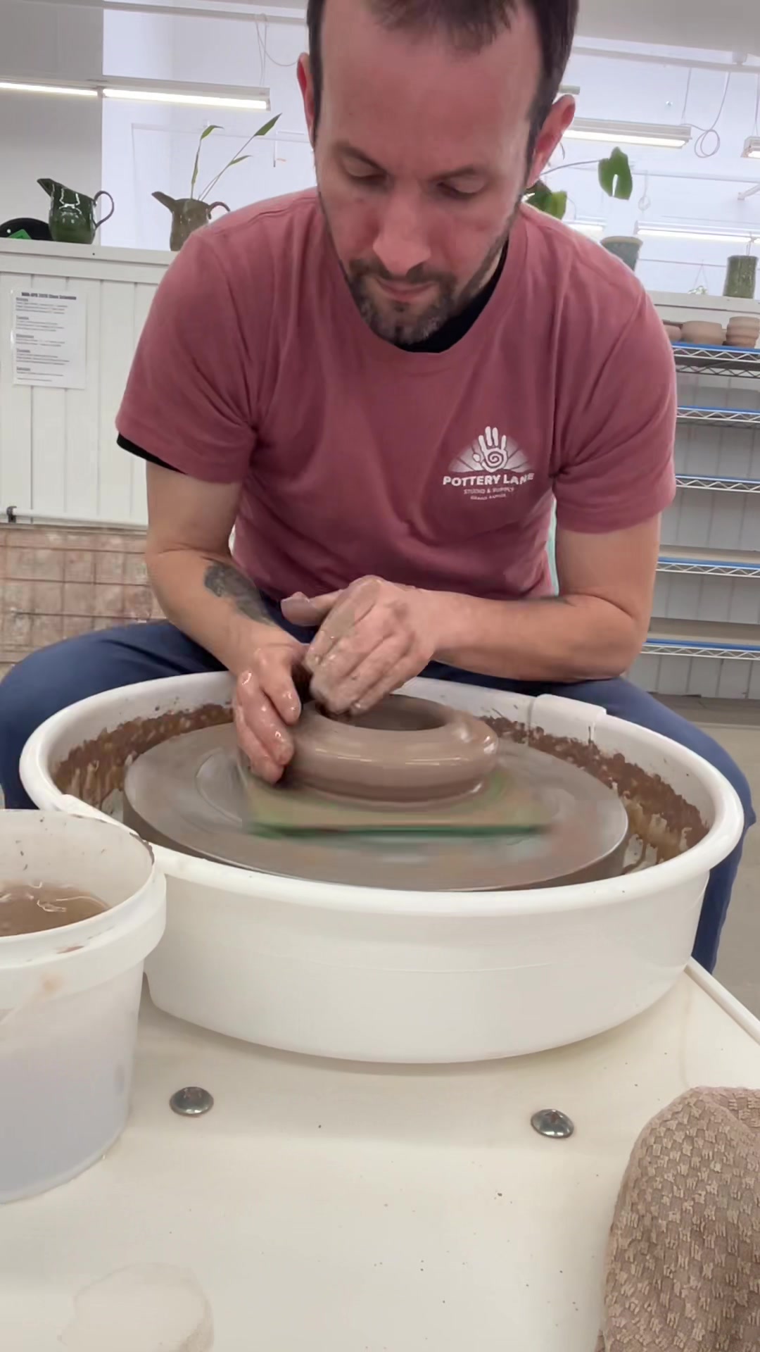@MissionBonsai