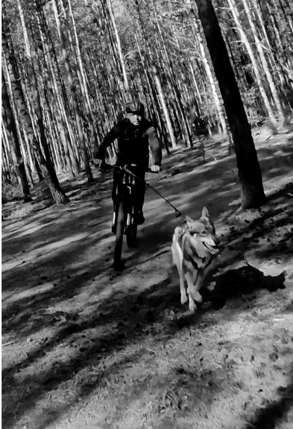 @Agnieszka Ignaszak bikejoring
