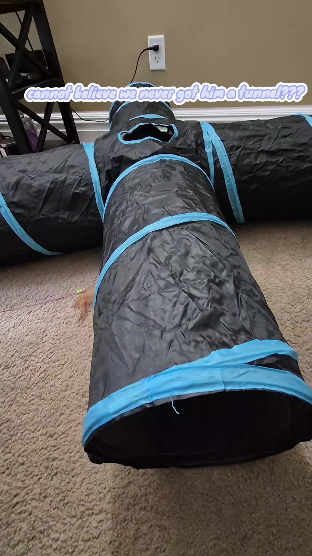 @Kittyboi