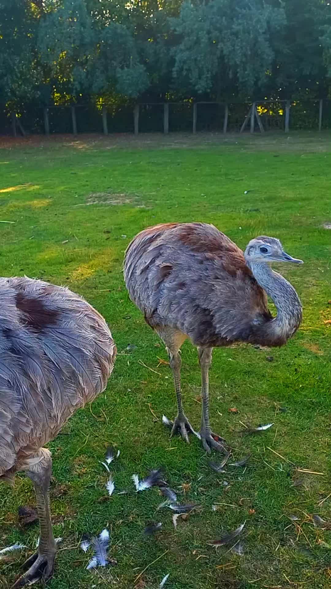 @🦚🆃𝓲𝓮𝓻🅿𝓪𝓻𝓴🆃𝓸𝓴🦚