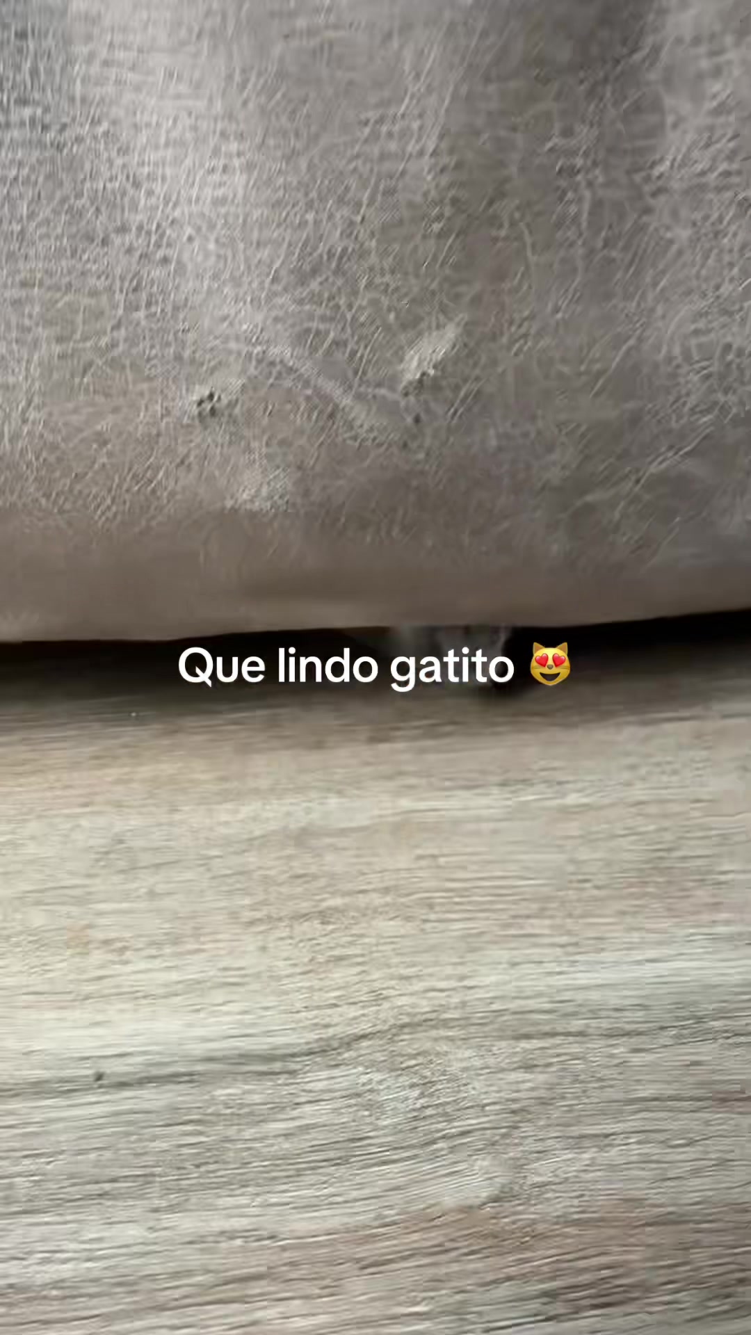 @Lizet