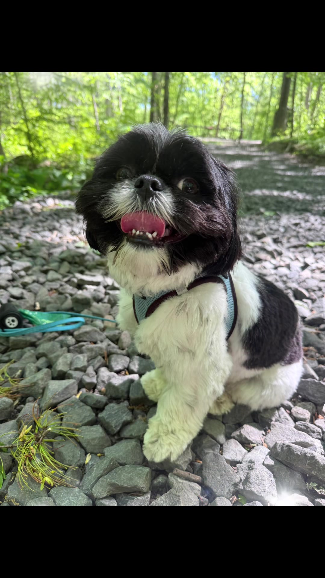 @PawsOnTrailsCT