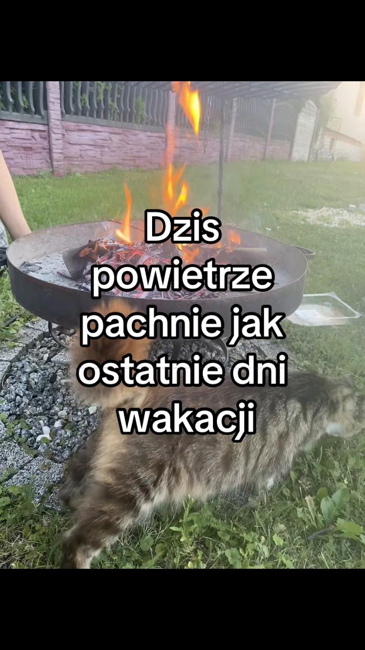 @𝑉𝑖𝑘𝑠𝑎🤍🪽