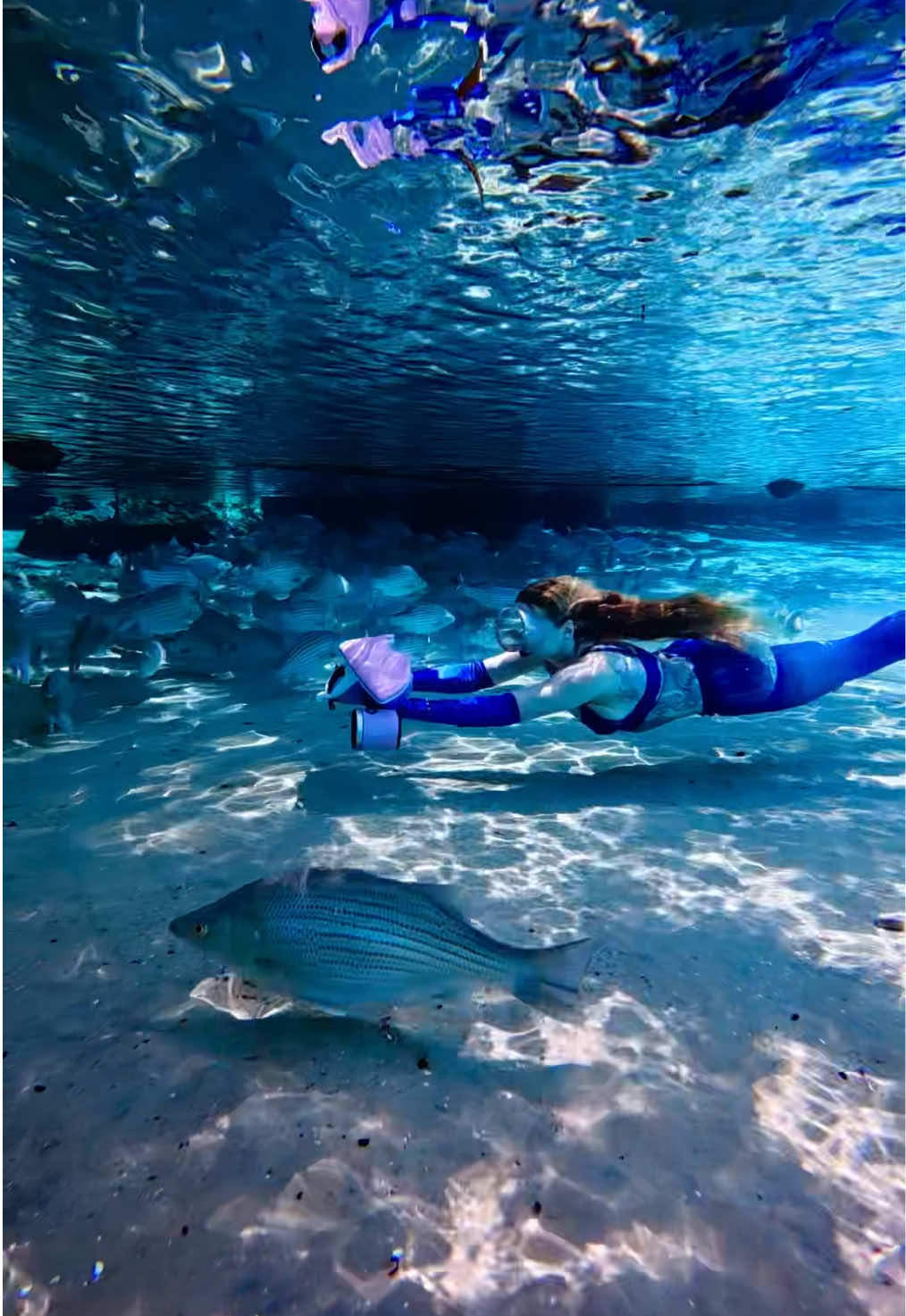 @Coralia Dives 🧜&zwj;♀️