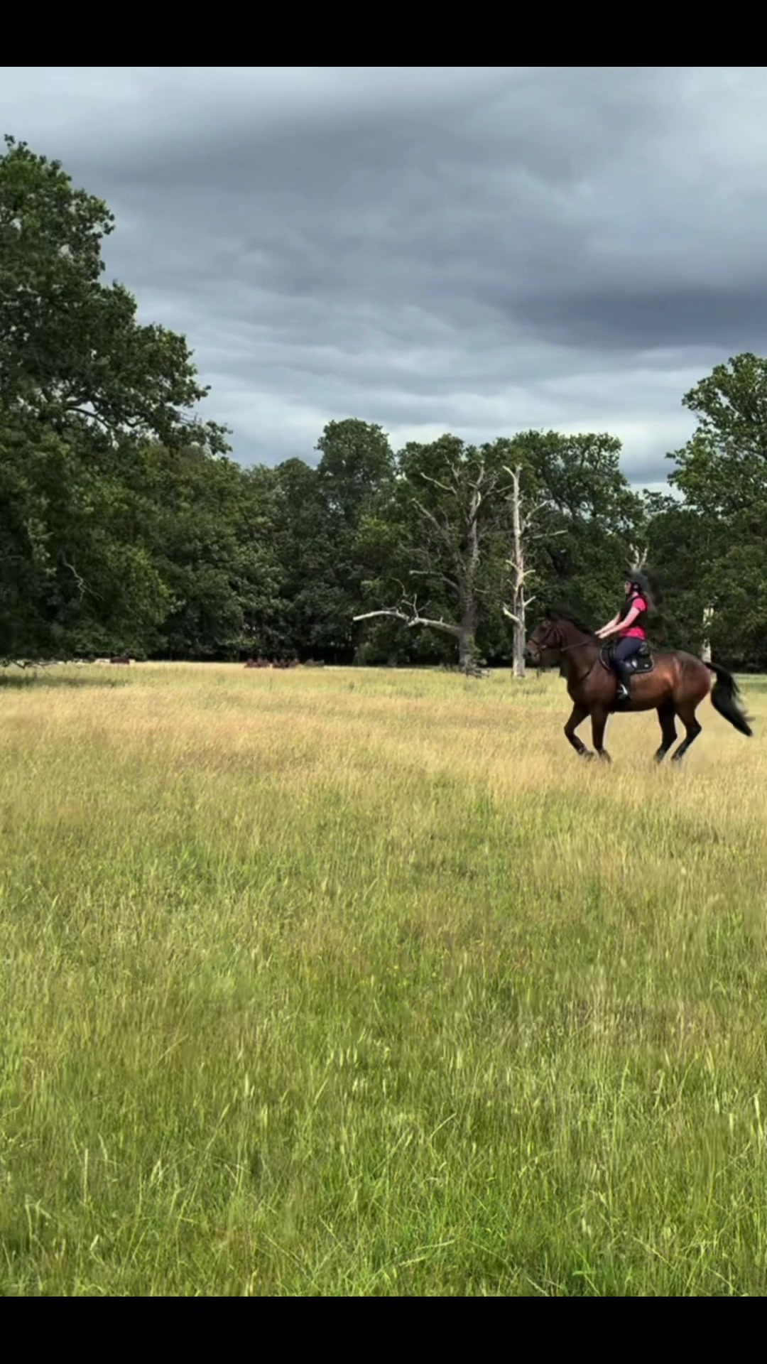 @MG.eq🇬🇧🐴