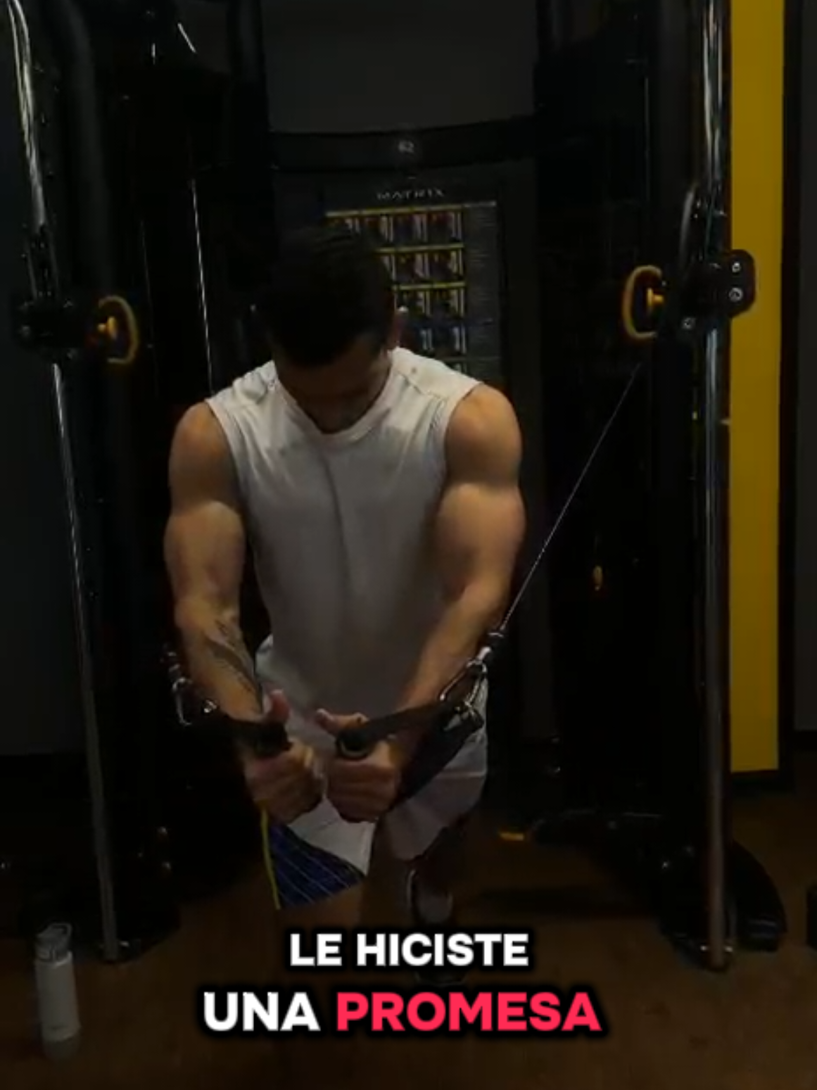 @elprofe.nestor