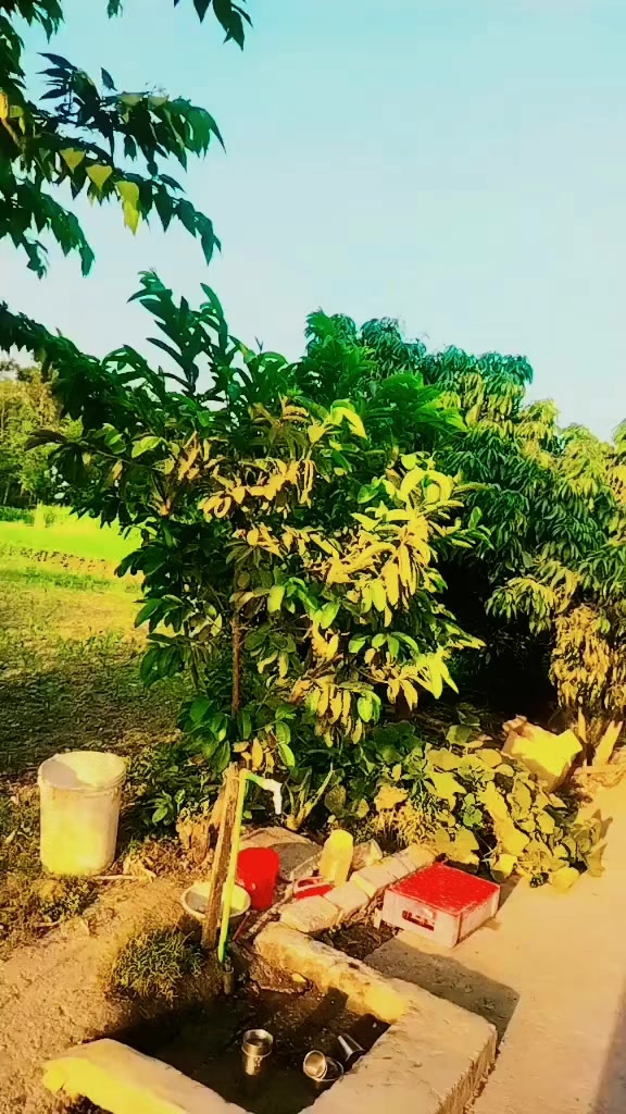 @laxmineupane0444