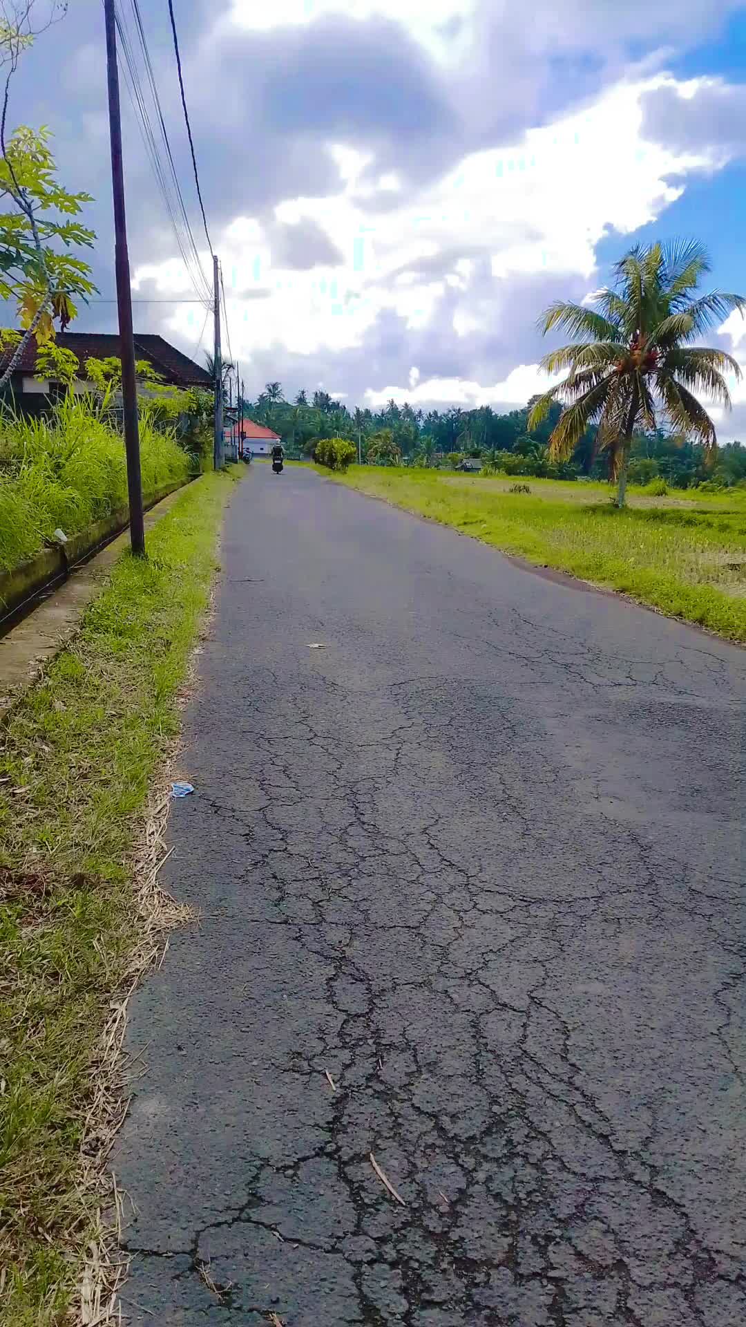 @STORI BUDUH BALI