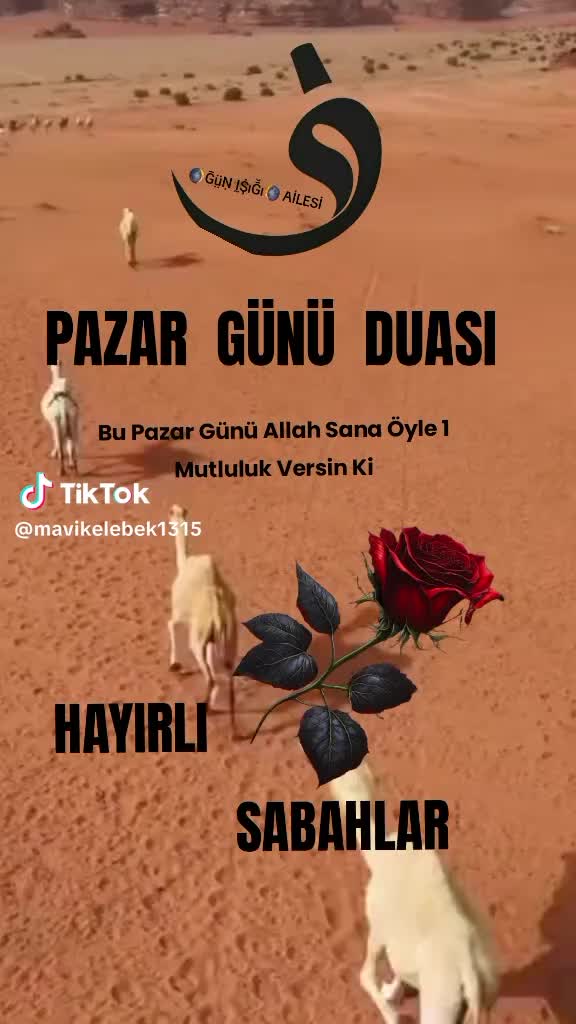 @G❤A🧿❤L🧿A❤D🧿I❤V🧿A❤212👑❤