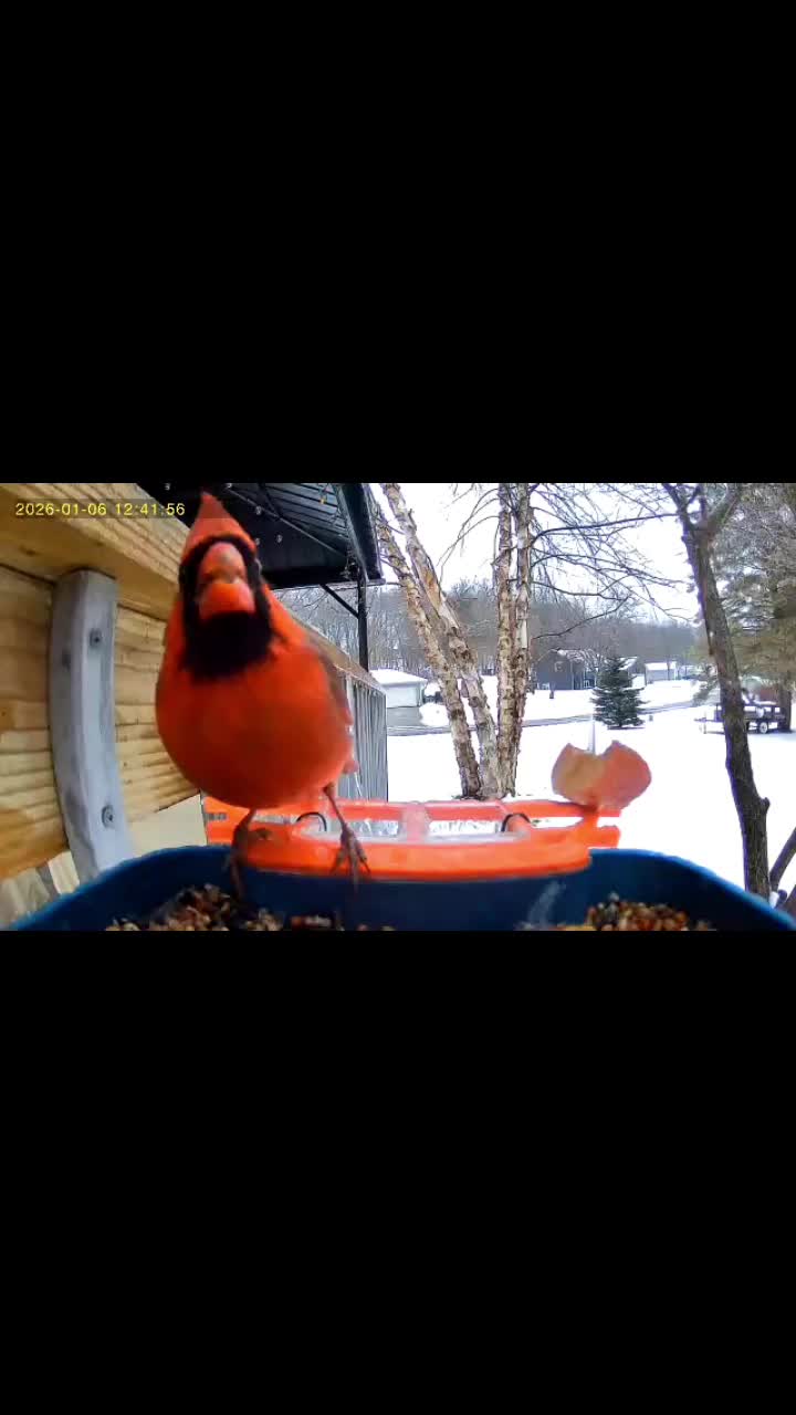 @Любопытно