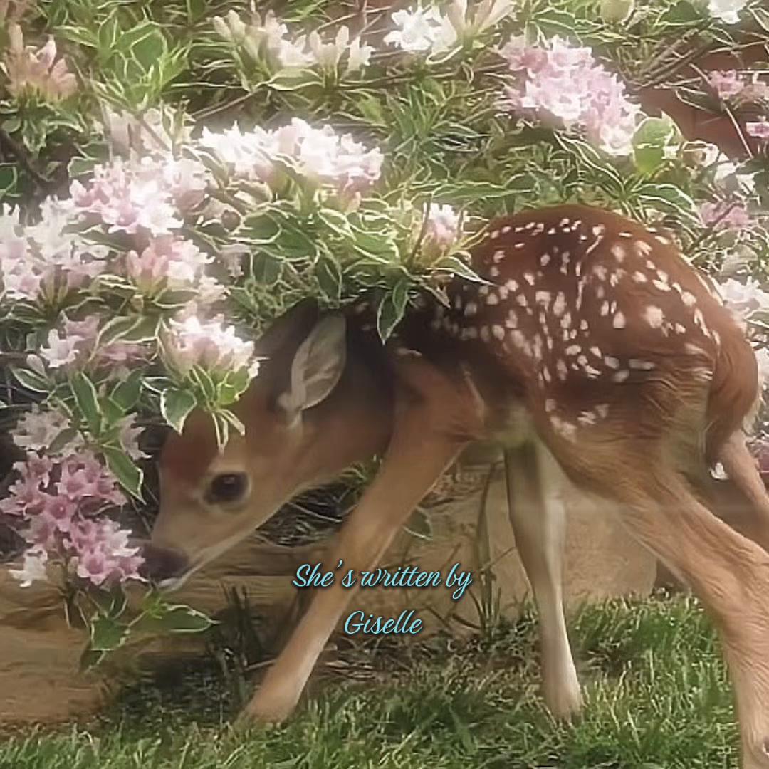 @aestheticsofallkind