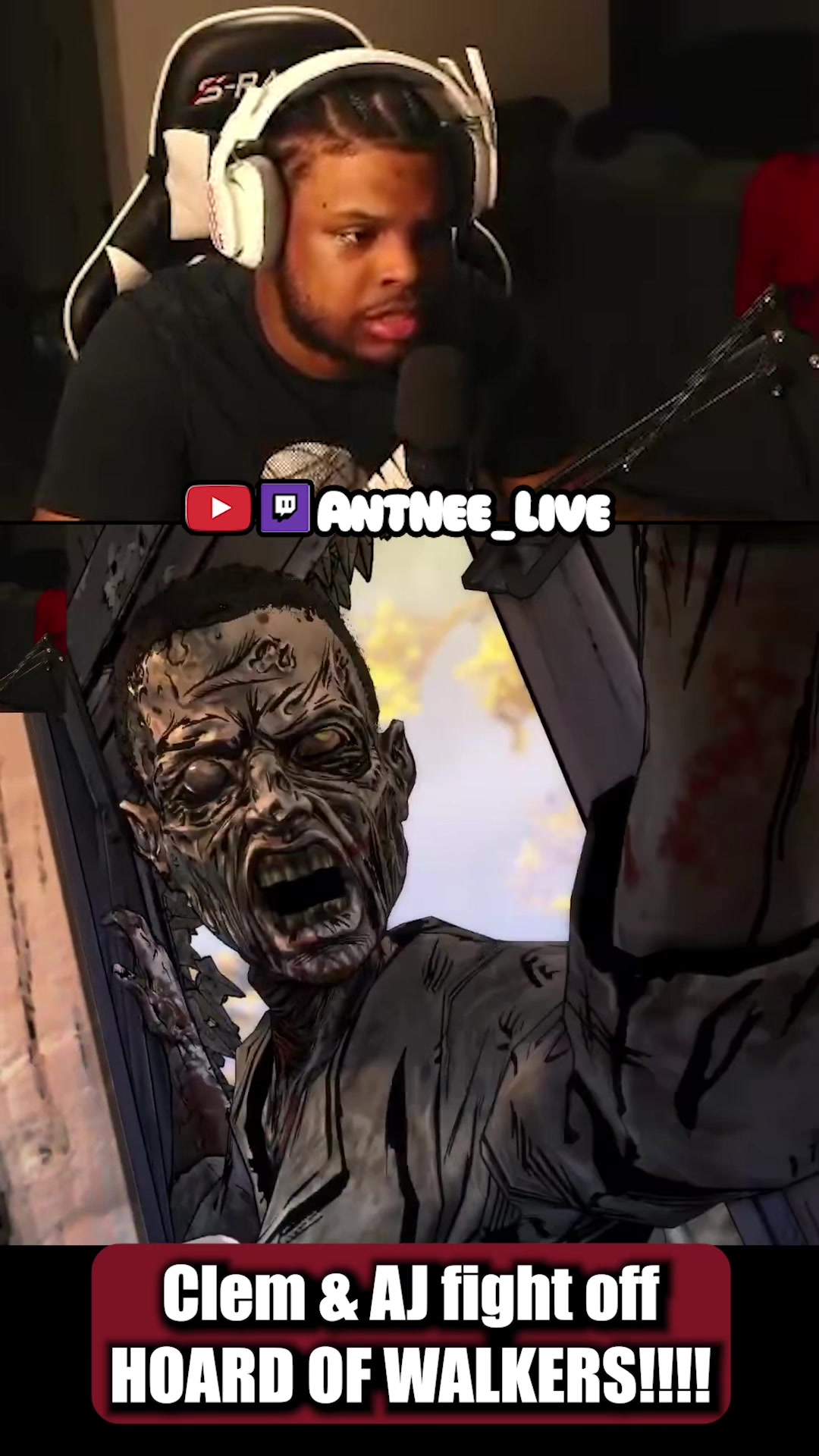 @AntNee Live
