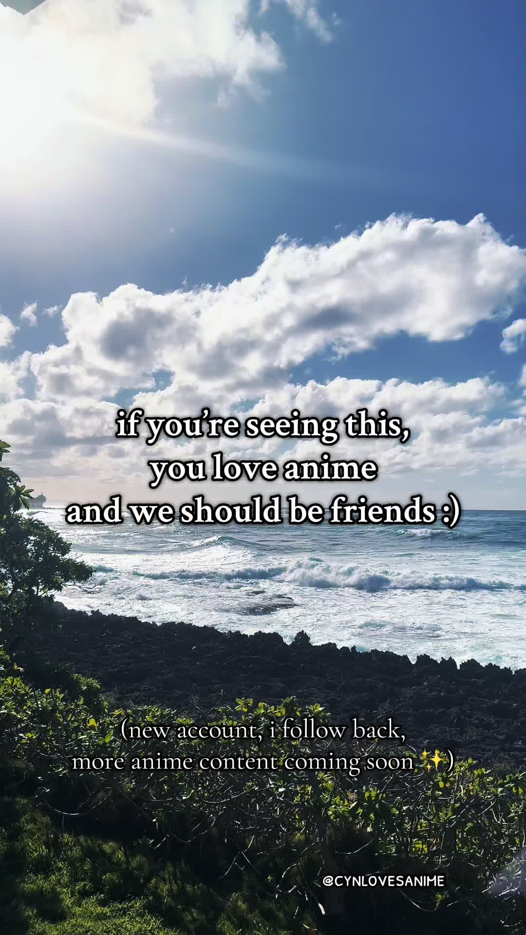 @cyn | anime content ✨