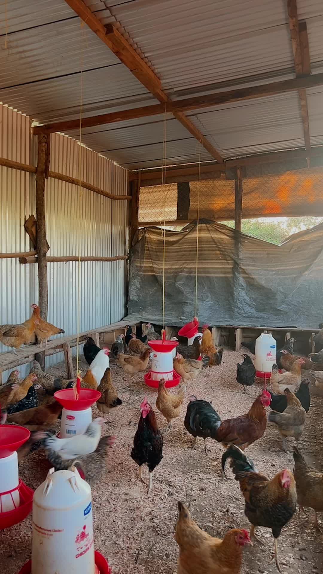 @kimasmartfarmsltd