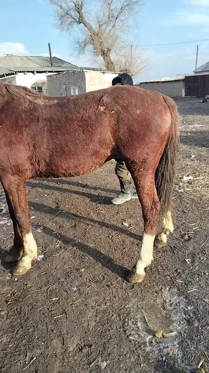 @Рахат