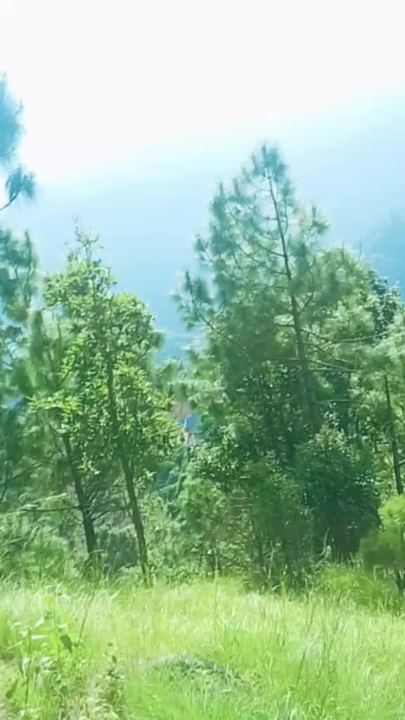 @Jhuma Khatiwada