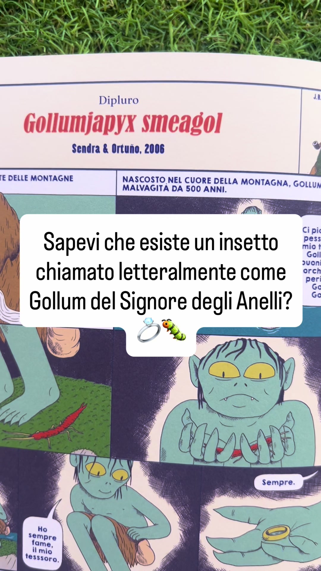 @la felicitá è nell’aria