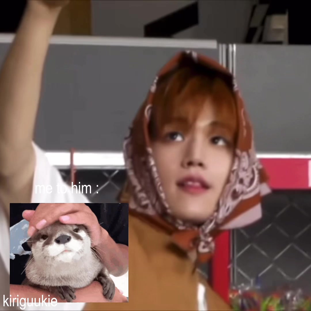 @vane ๐ธ๐