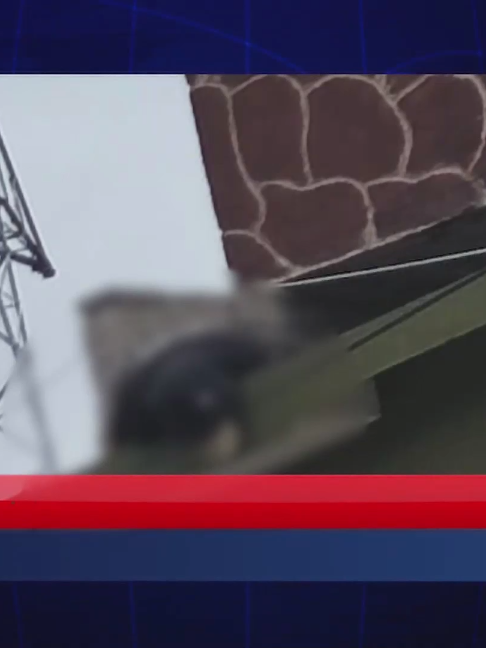 @Meganoticias Tehuac&aacute;n