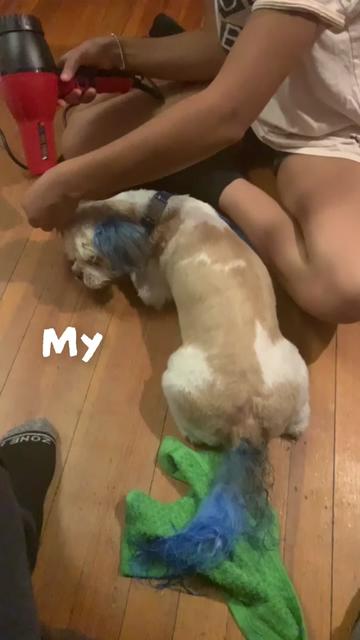 @arelynp5