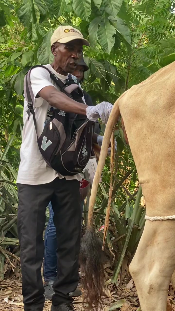 @Agro Registre🧑🌾🇭🇹