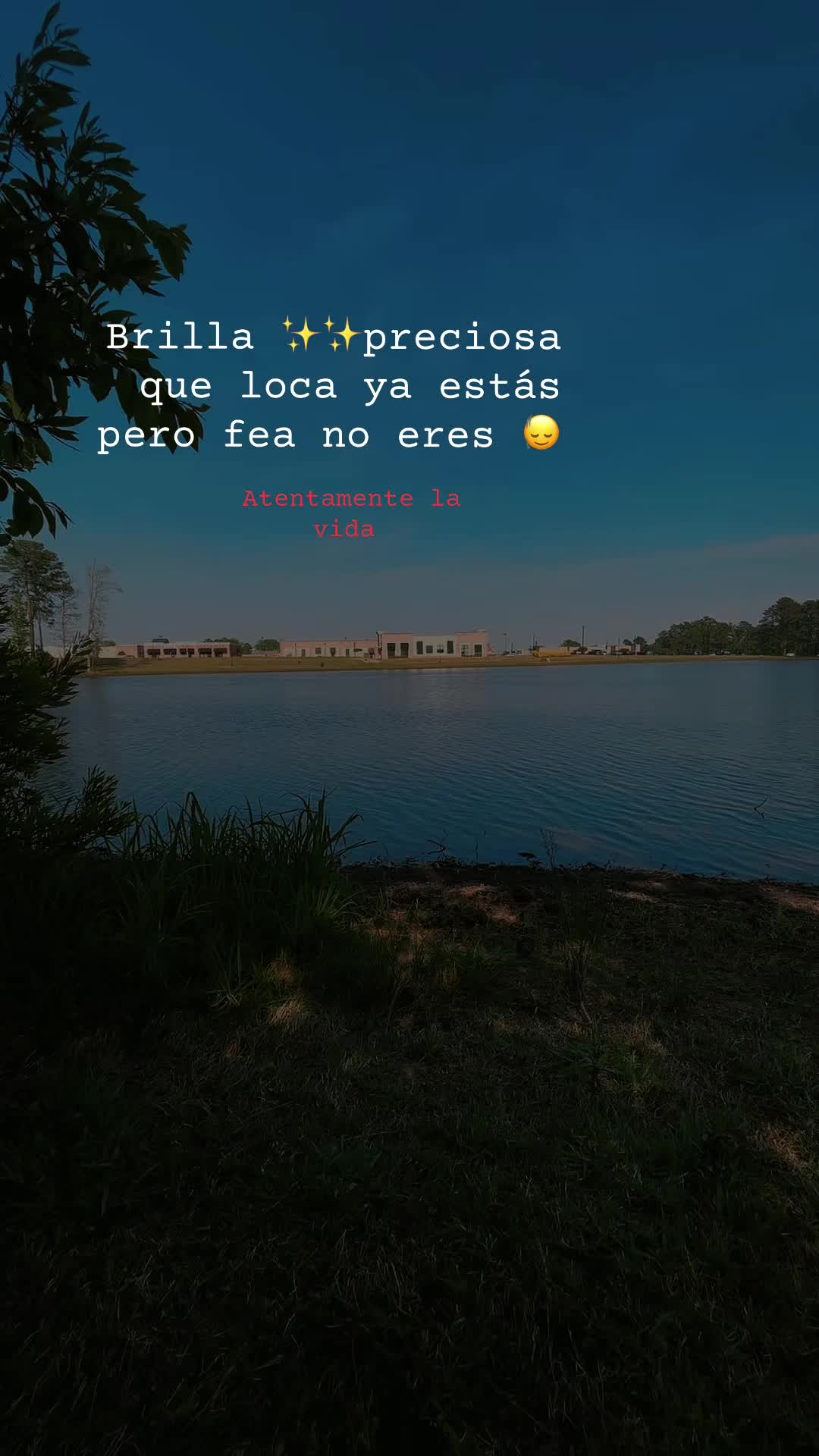 @vickyaquino1599