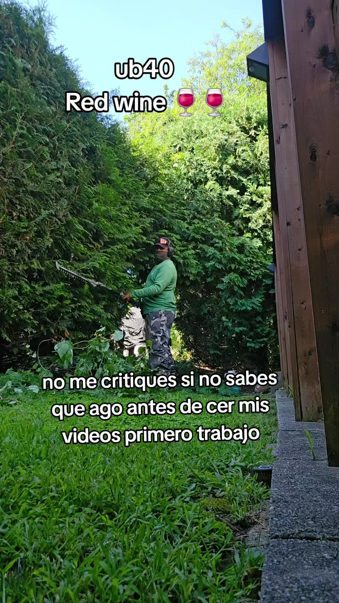 @caracol islen̈o 🇭🇳🇩🇴