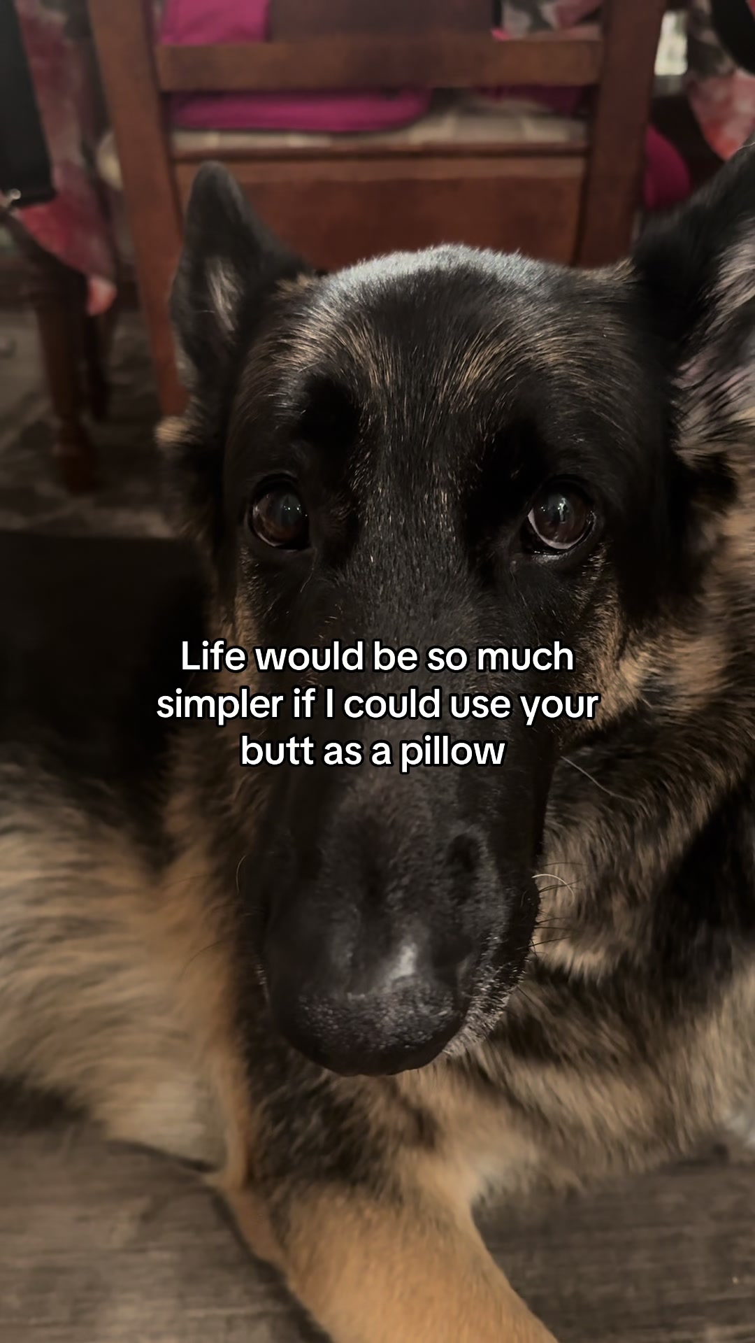 @Bhris