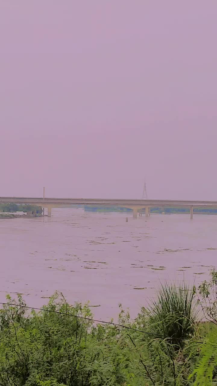 @Rani