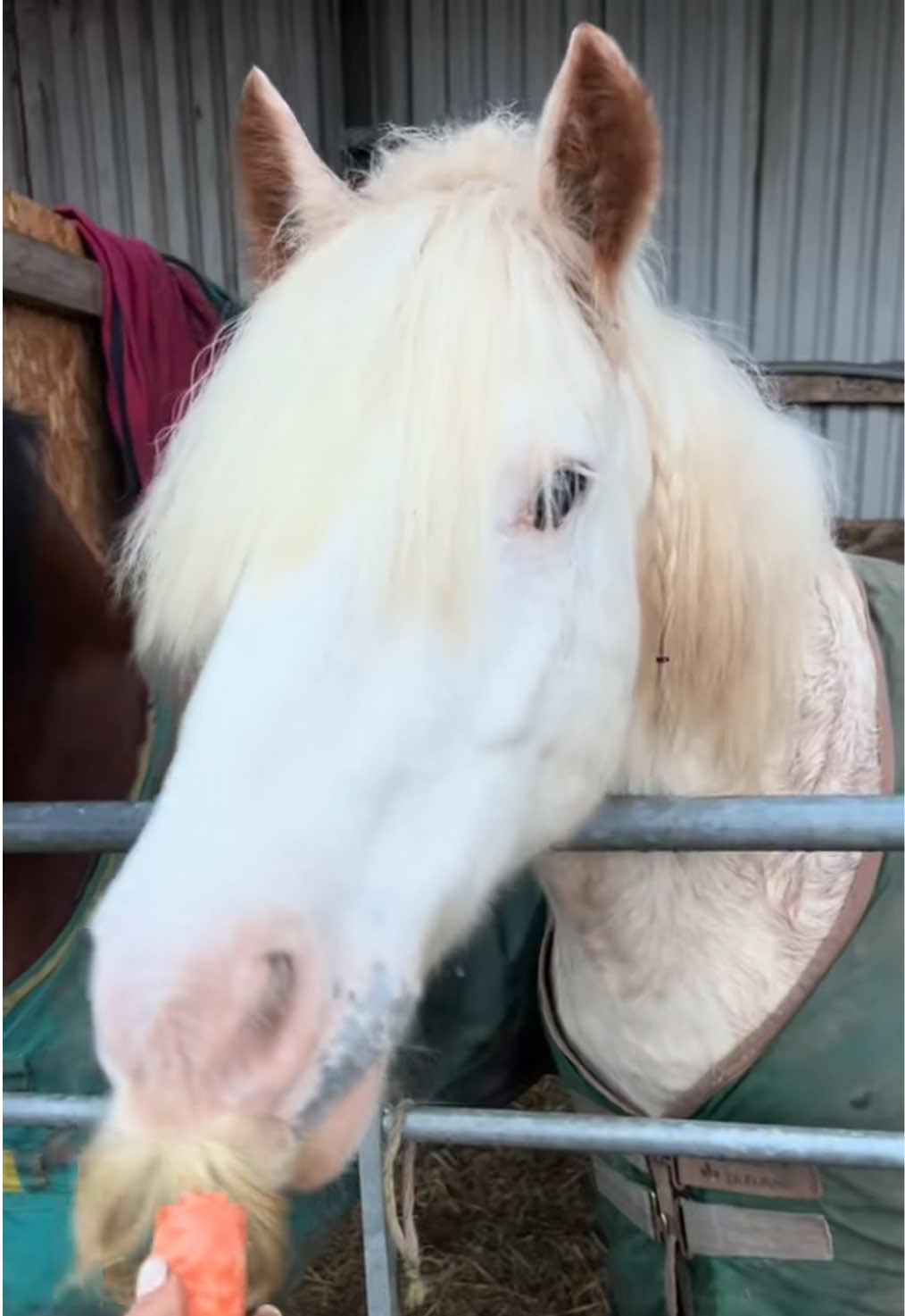 @Moor Farm Stables