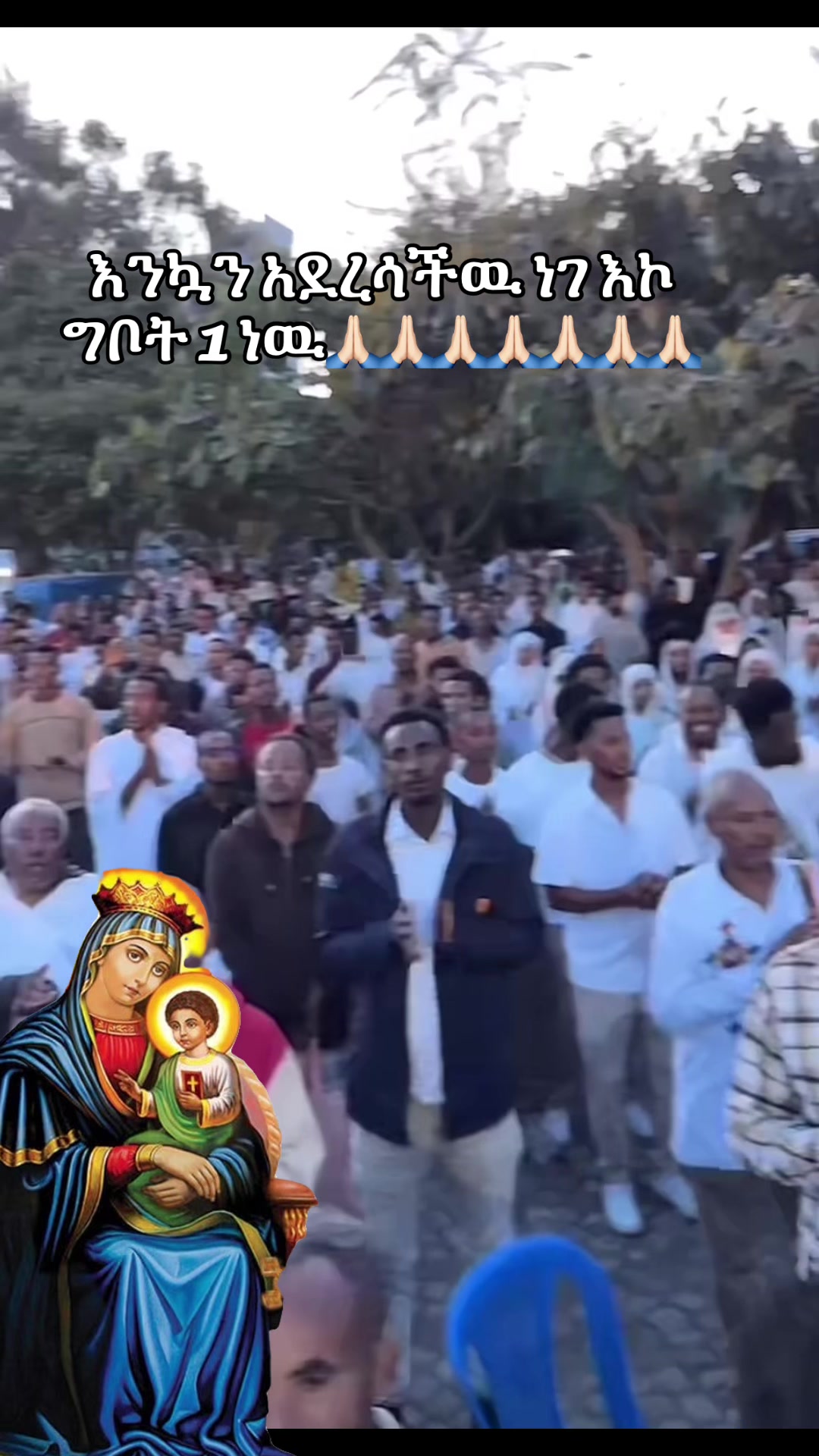 @አዲስዋ ልቤ ልብ ውልቅ ሀበሻና ሹፎን