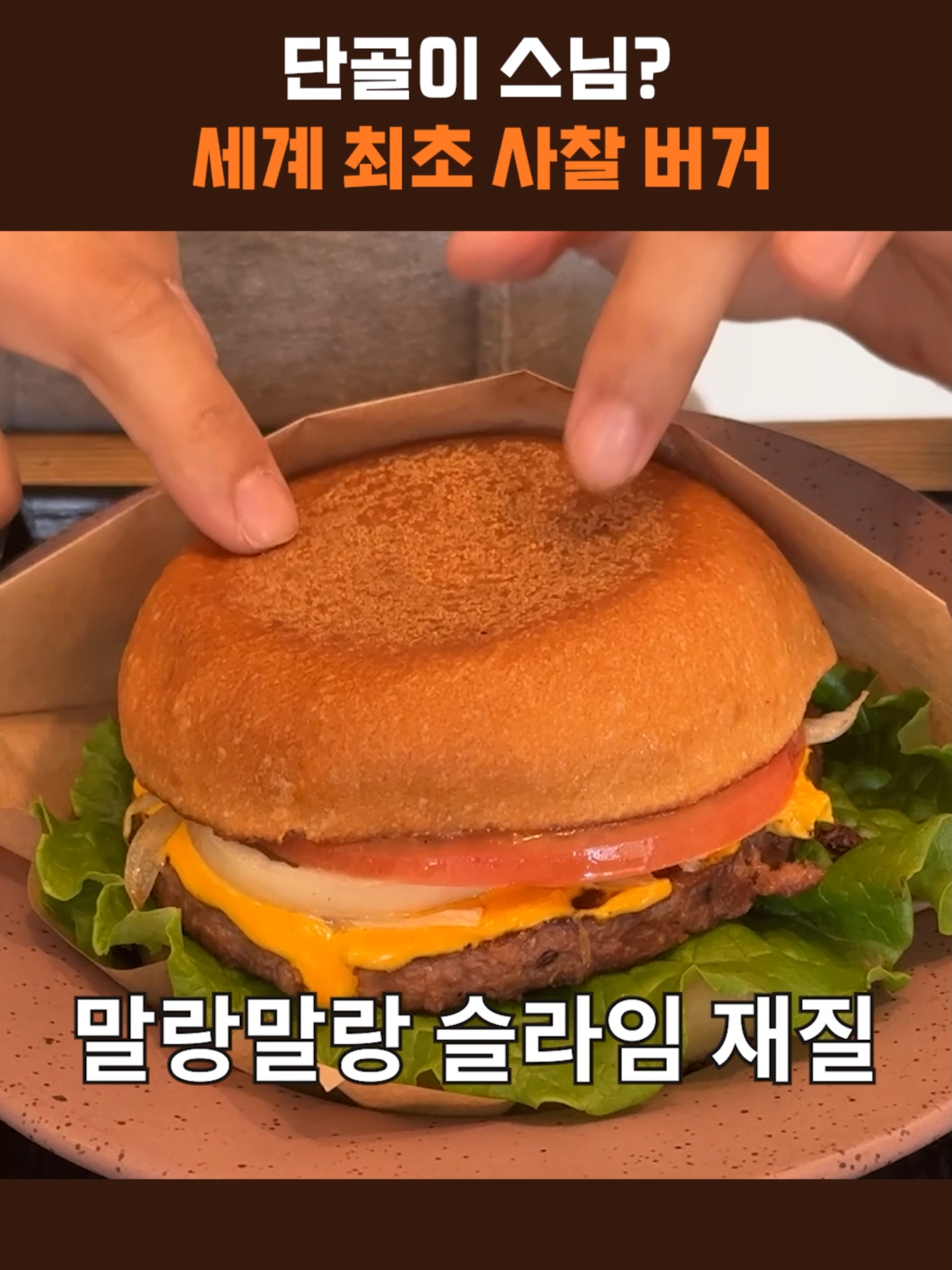 @스브스뉴스