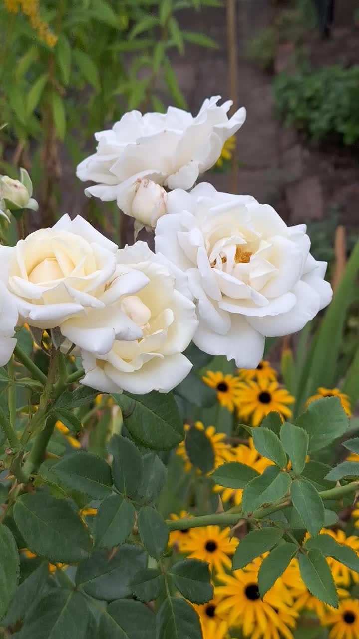 @Natur und Garten