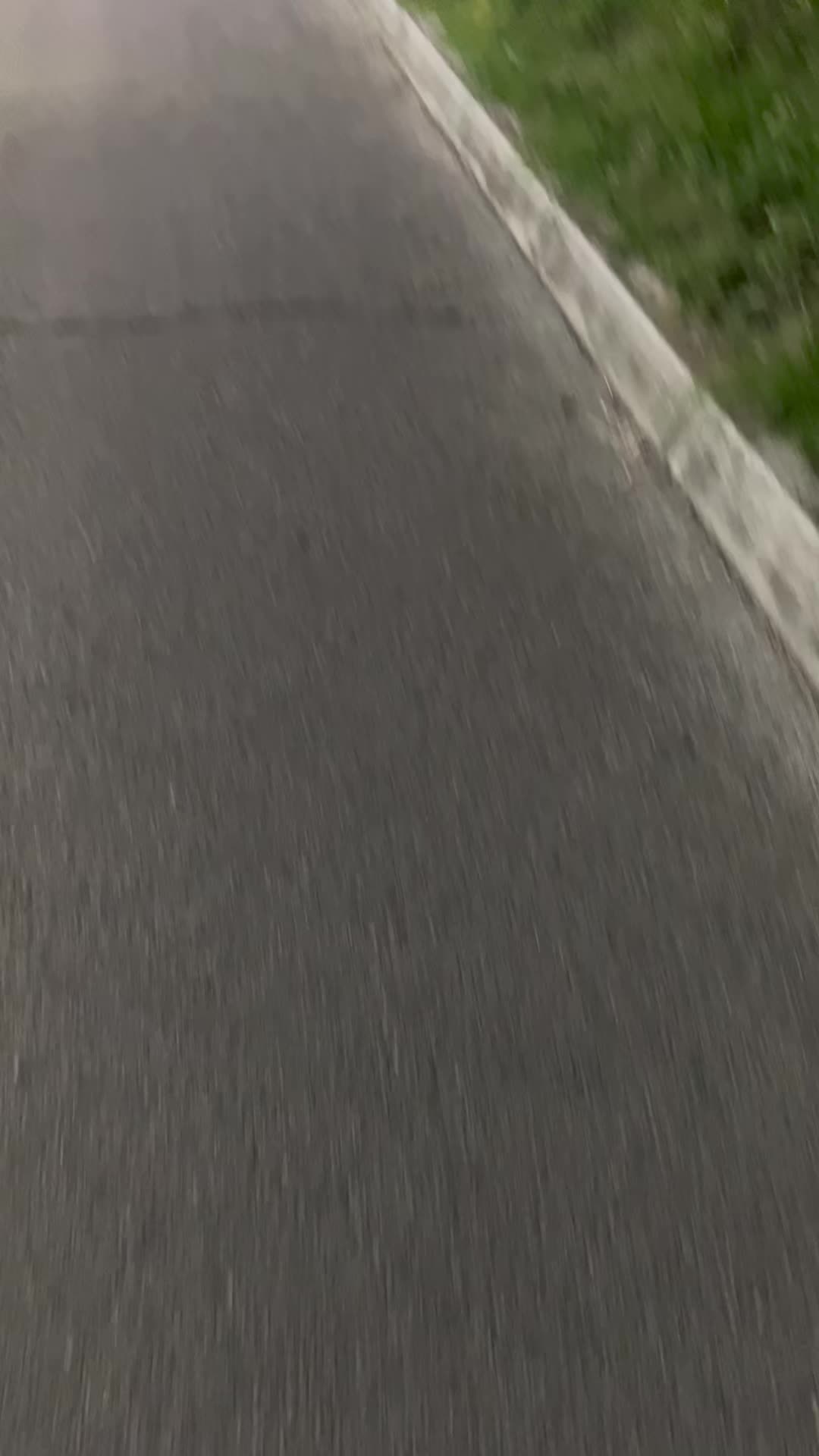 @Lori.vtec