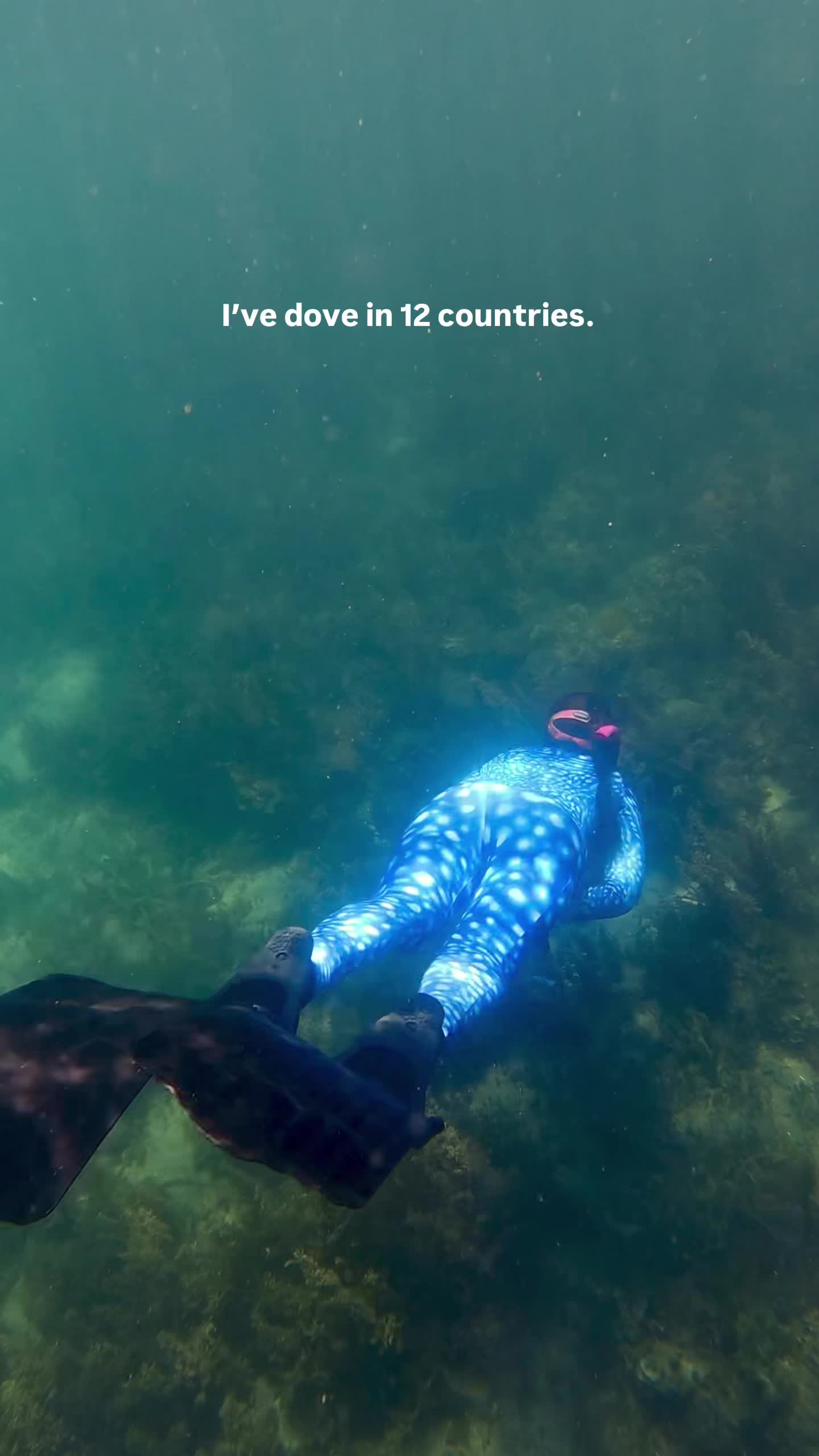@The Dive Compass