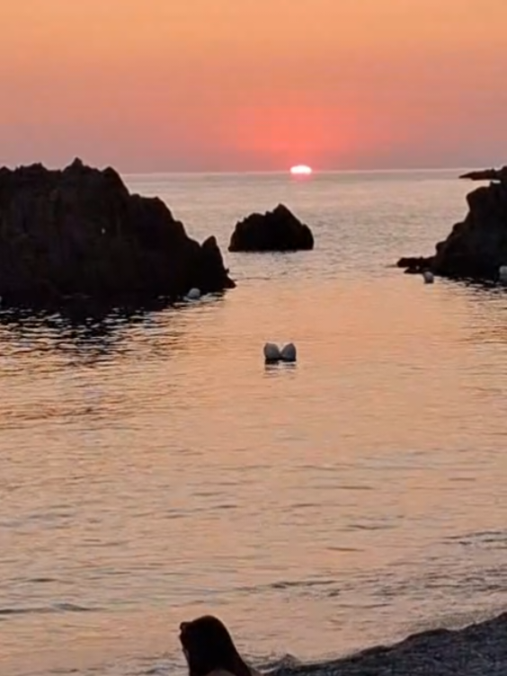@SCALEA CALABRIA STRILL