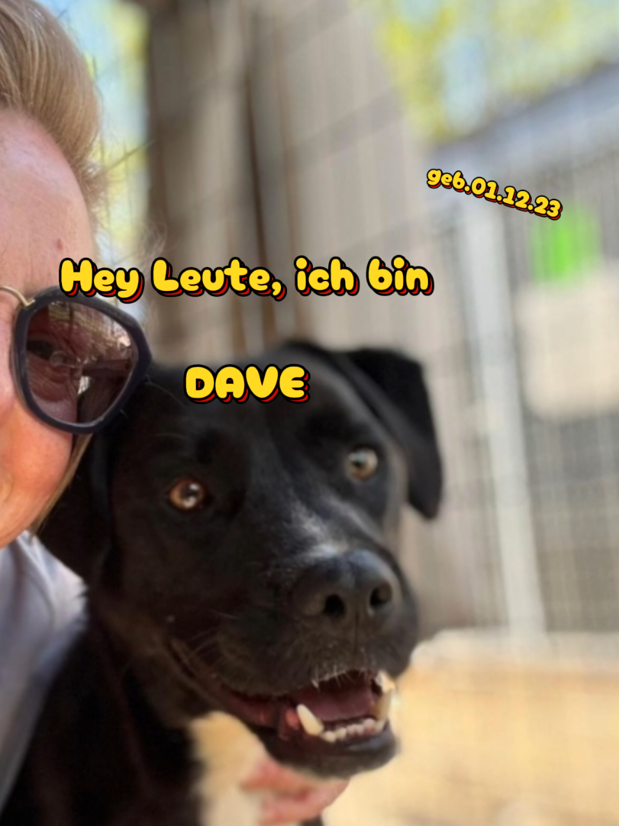 @Hundehilfe Bakony e.V.