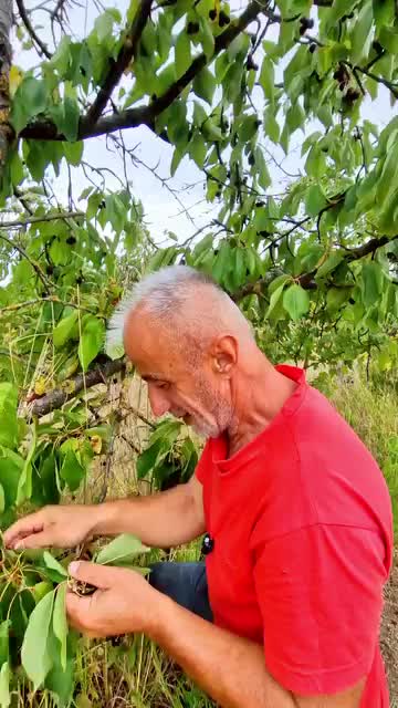 @Minir Sadiku Firajës