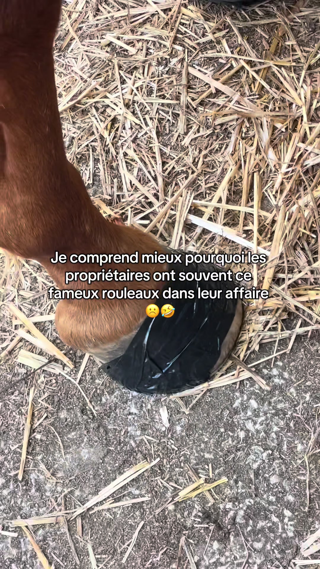 @Rolly&compagnie