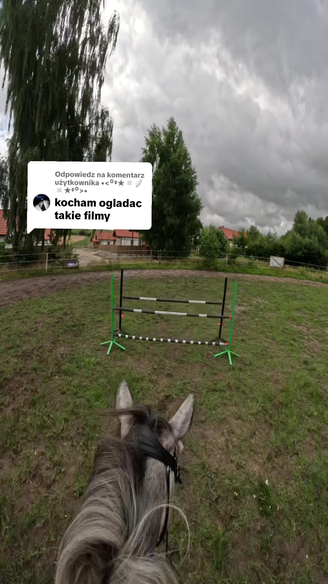 @Stajnia Miejsce Rozwoju