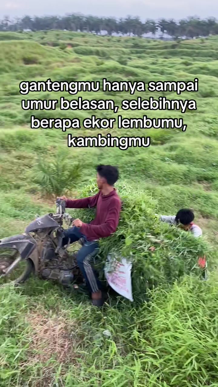 @ngaritboy
