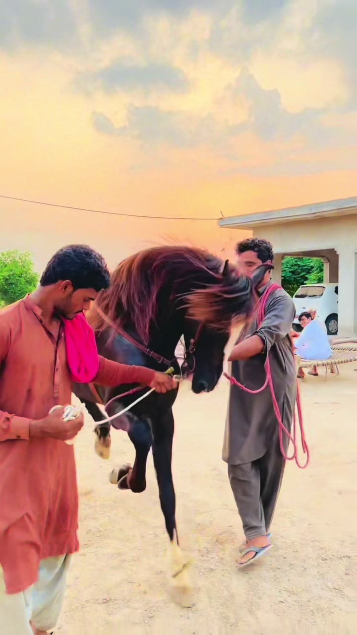 @Taimoor Shah
