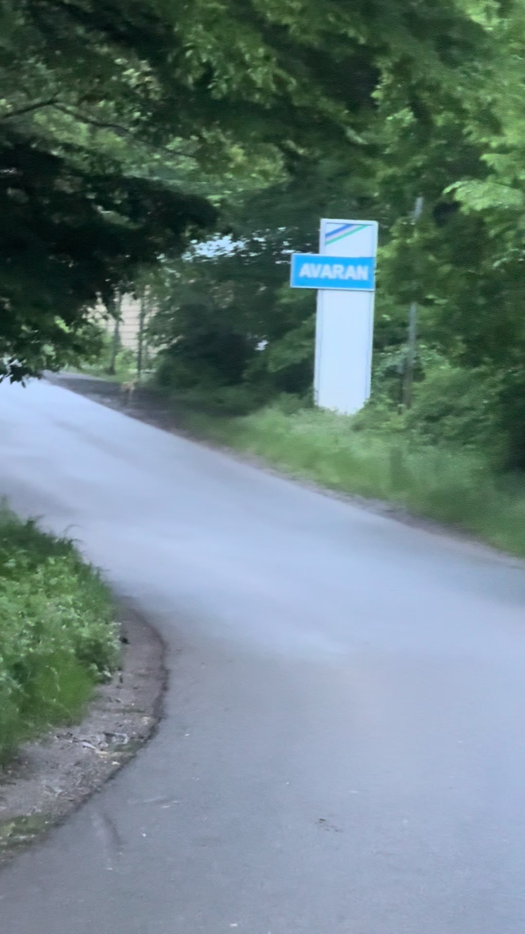 @Əli oğlu