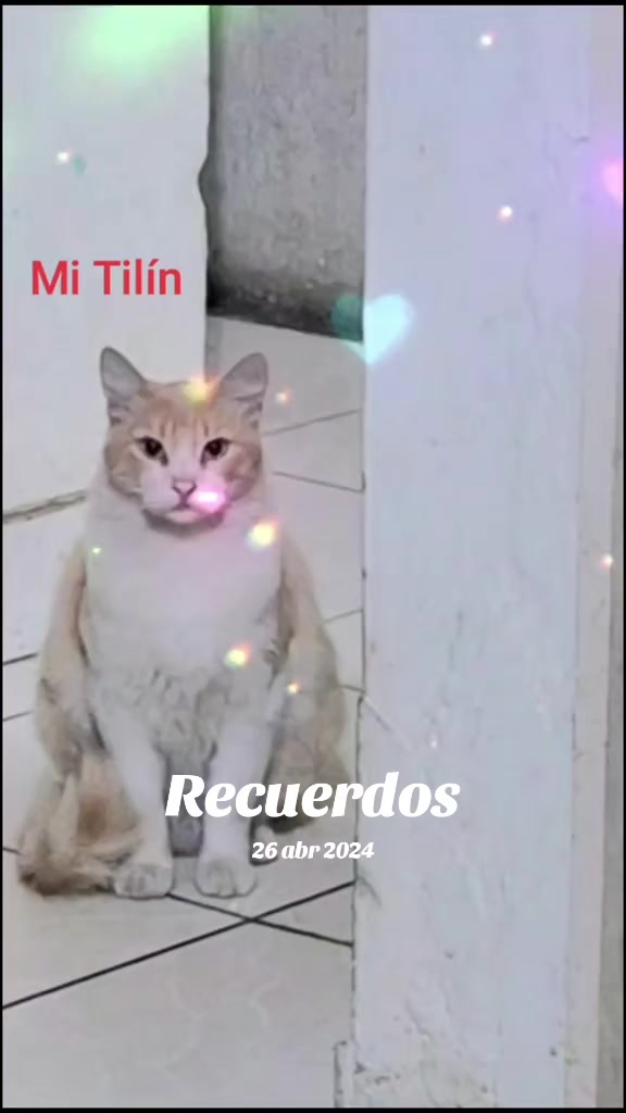 @Flor_Aleli07