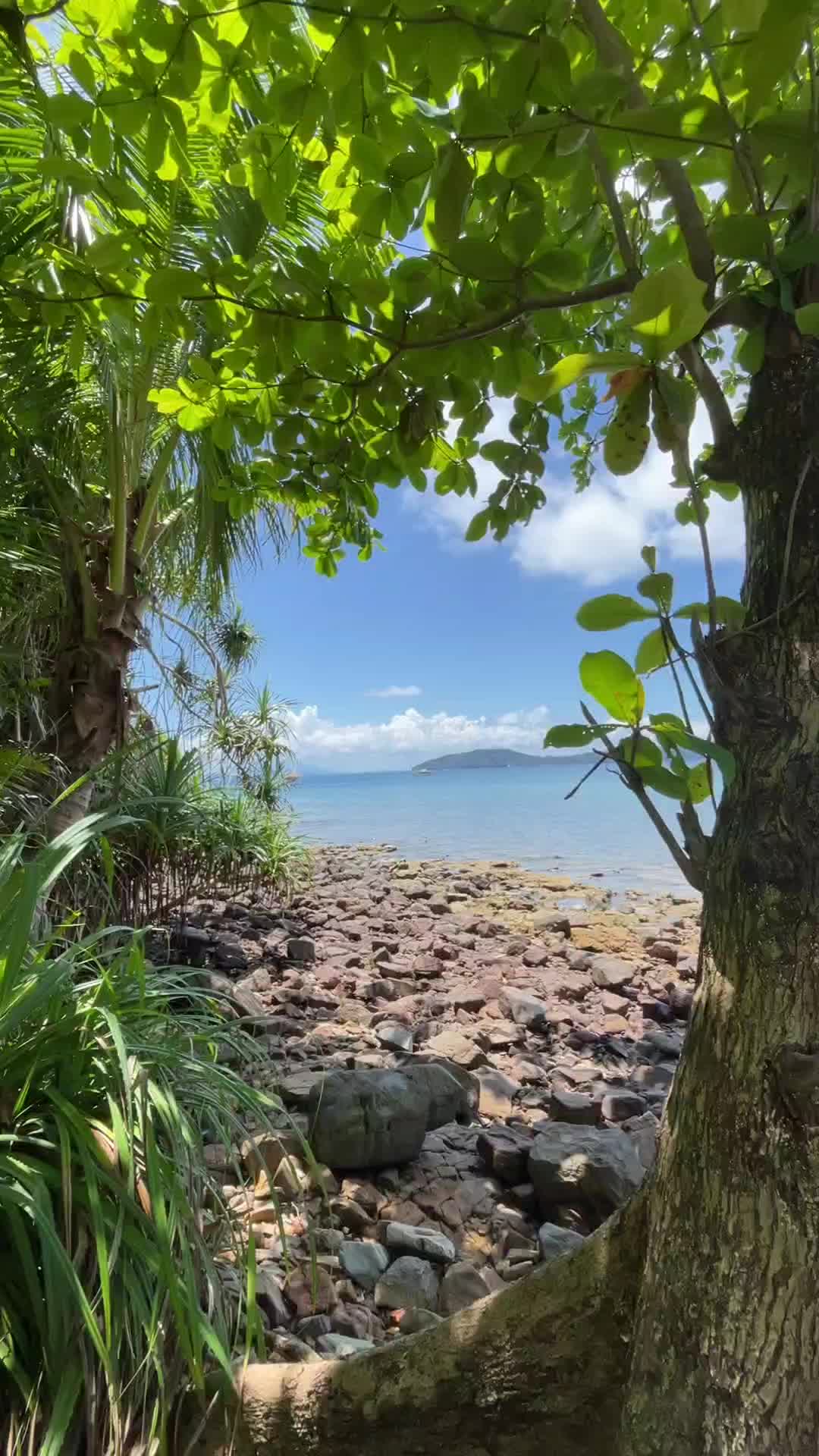 @lemukutan_island