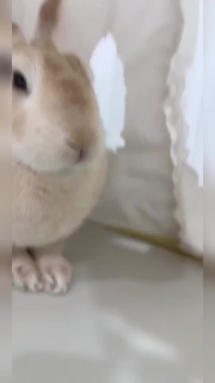 @WONDOO